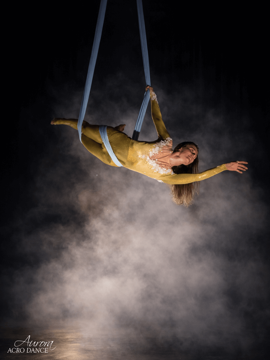 Akrobatické vystoupení - Černá labuť