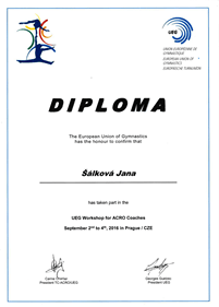 Workshop for acro coaches