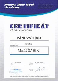 Workshop pánevní dno